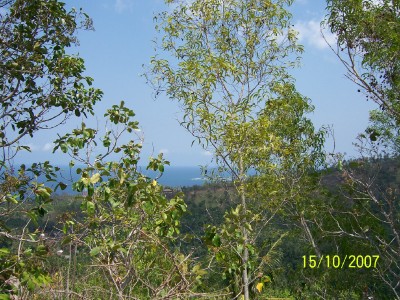 Pantai Lombok dari ketinggian bukit I
