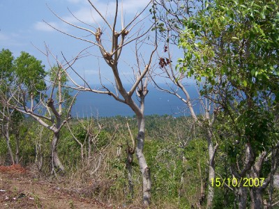 Pantai Lombok dari ketinggian bukit ke 1
