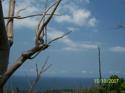 Pantai Senggigi, Lombok dari ketinggian Bukit ke 2
